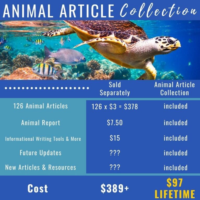 Animal Articles Collection